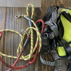 Dog Leashes And Harnesses 