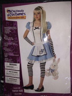 Alice in Wonderland Costume