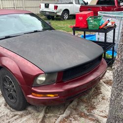 Ford Mustang 2007 – Potencia clásica y estilo deportivo