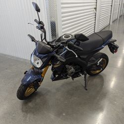 2023 Kawasaki Z125 Pro