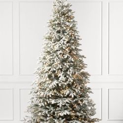 Balsam Hill Frosted Fraser Fir Tree