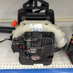 Echo Blower 