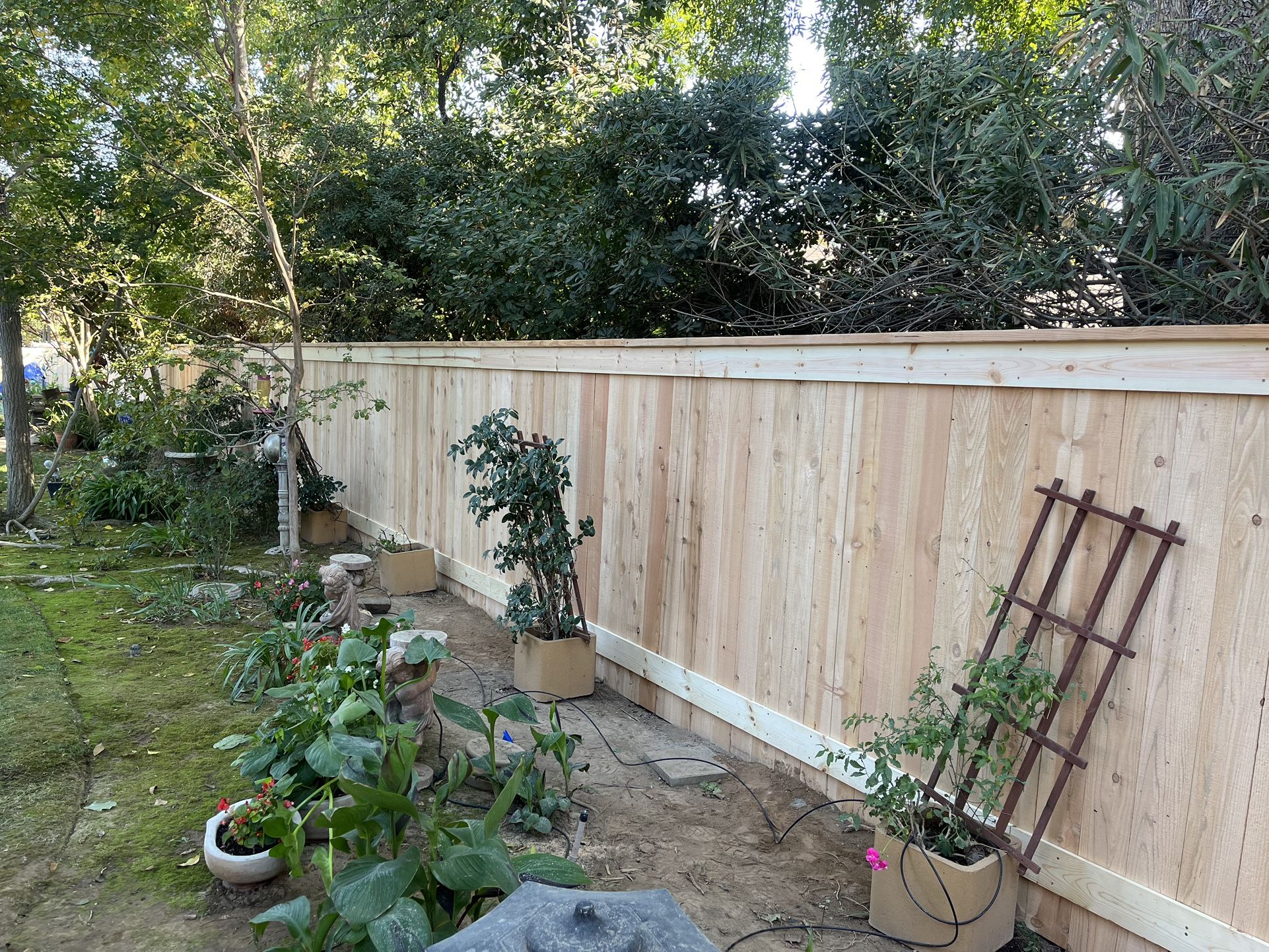 Fence