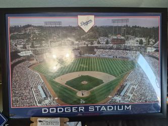 Doger framed poster and banner