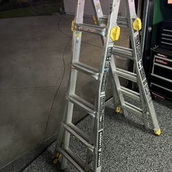 Gorilla Ladder