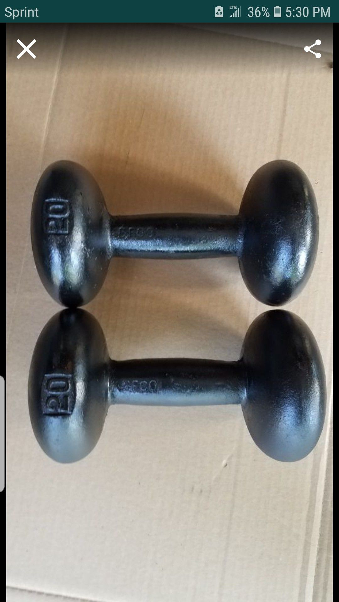 ROUND DUMBBELLS