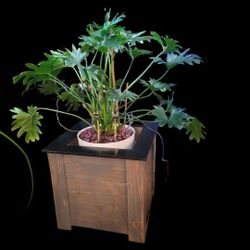 Hand Made Solid Wood Cedar Planters