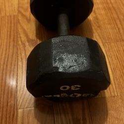 SA Gear 30lb Dumbbell 