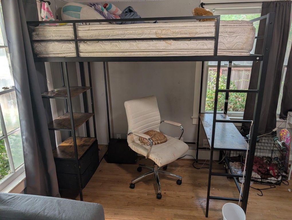 Loft Bunk Bed