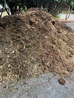 Free wood chips mulch