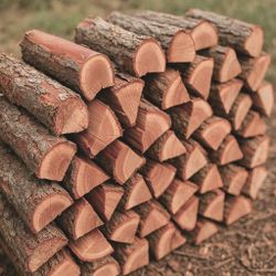 Madrona Hardwood Seasoned Half Cord Top Shelf Firewood Free Delivery