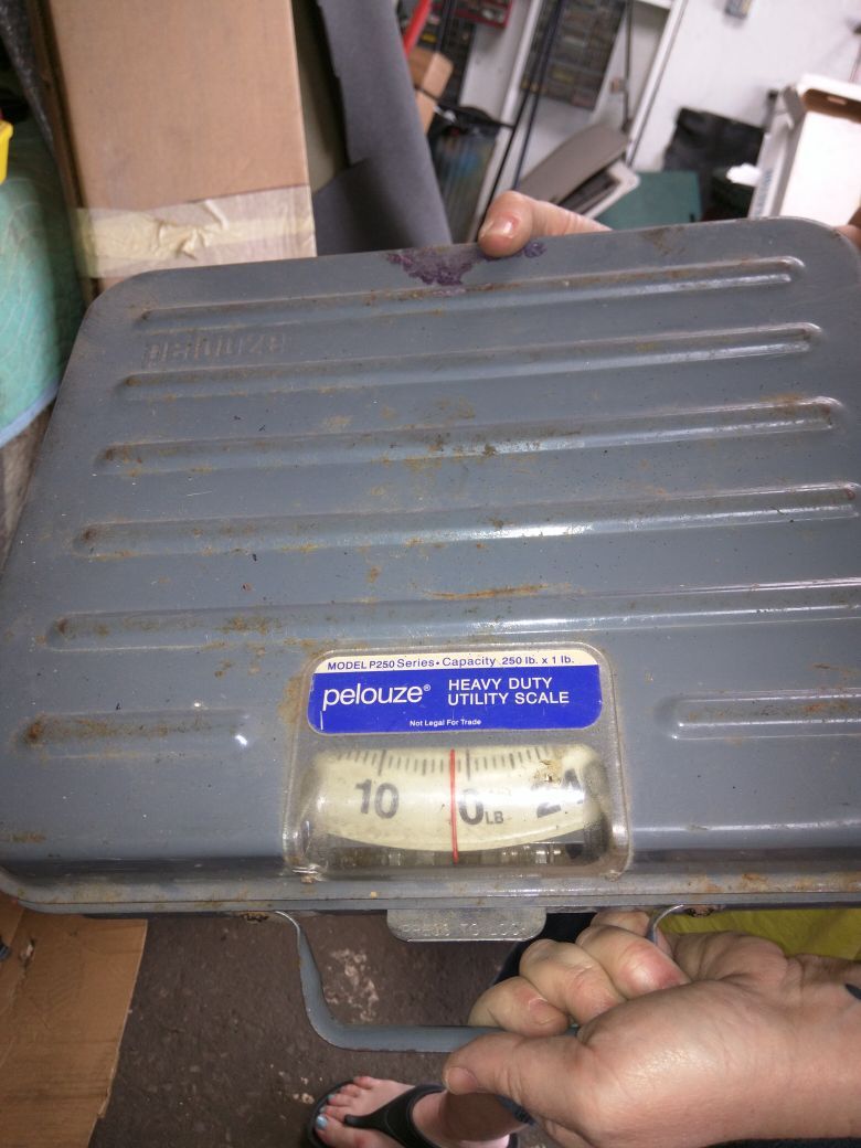UPS FEDEX mail scale