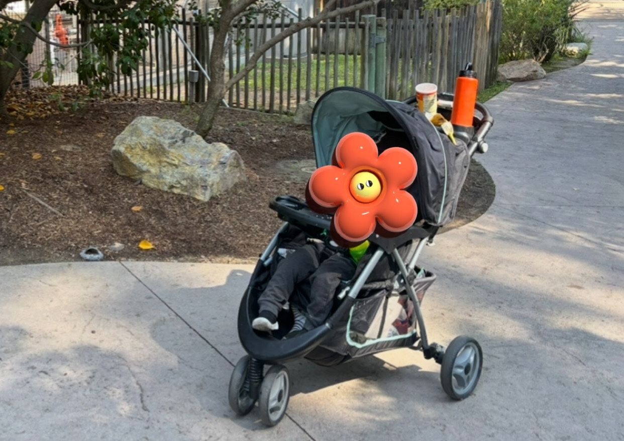 BabyTrend Stroller