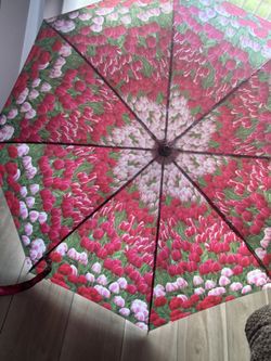 Rain Umbrella 