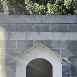 Bendo Esta Casita 🏠 Para Si Cachorro 