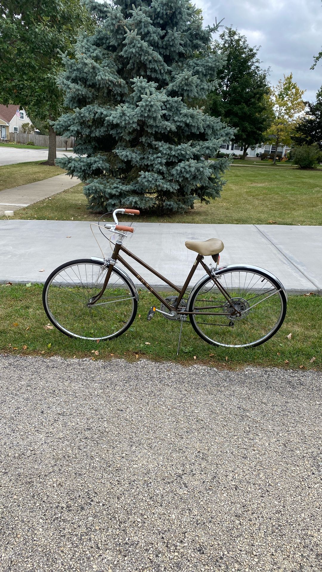 Cruiser Bike 