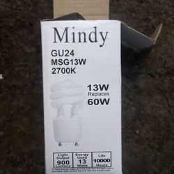 Mindy Jackyled Florescent Bulb