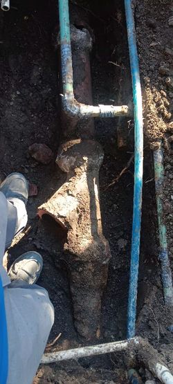 Sewer ,and Drain Repear