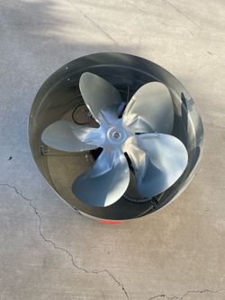 Fan