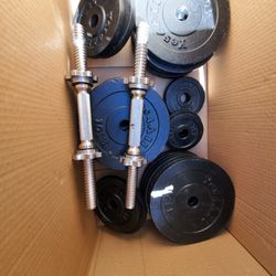 Bench And Weights