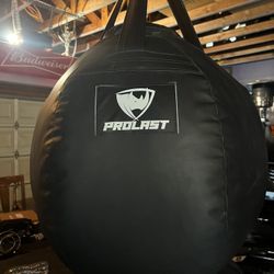 Pro Last Wrecking Ball Punching Bag Lightly Used 