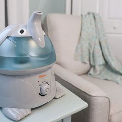 Cool mist humidifier