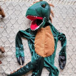 Dinosaur, Dragon, Lizard Costume