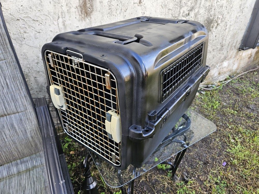 dog crate
