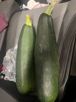 Free two large zucchini 15101