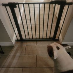Baby Gate 