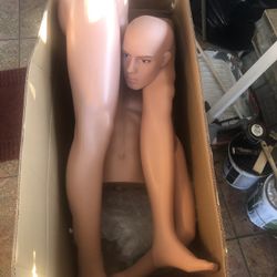 Maniquí Nuevo Ken