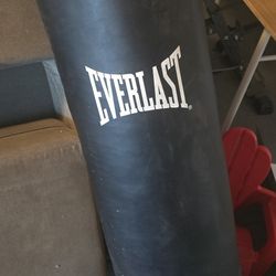Punching Bag