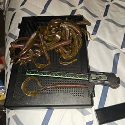 Fishing Bass Plastics 6th Sense