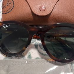 Brand new Rayban sunglasses 