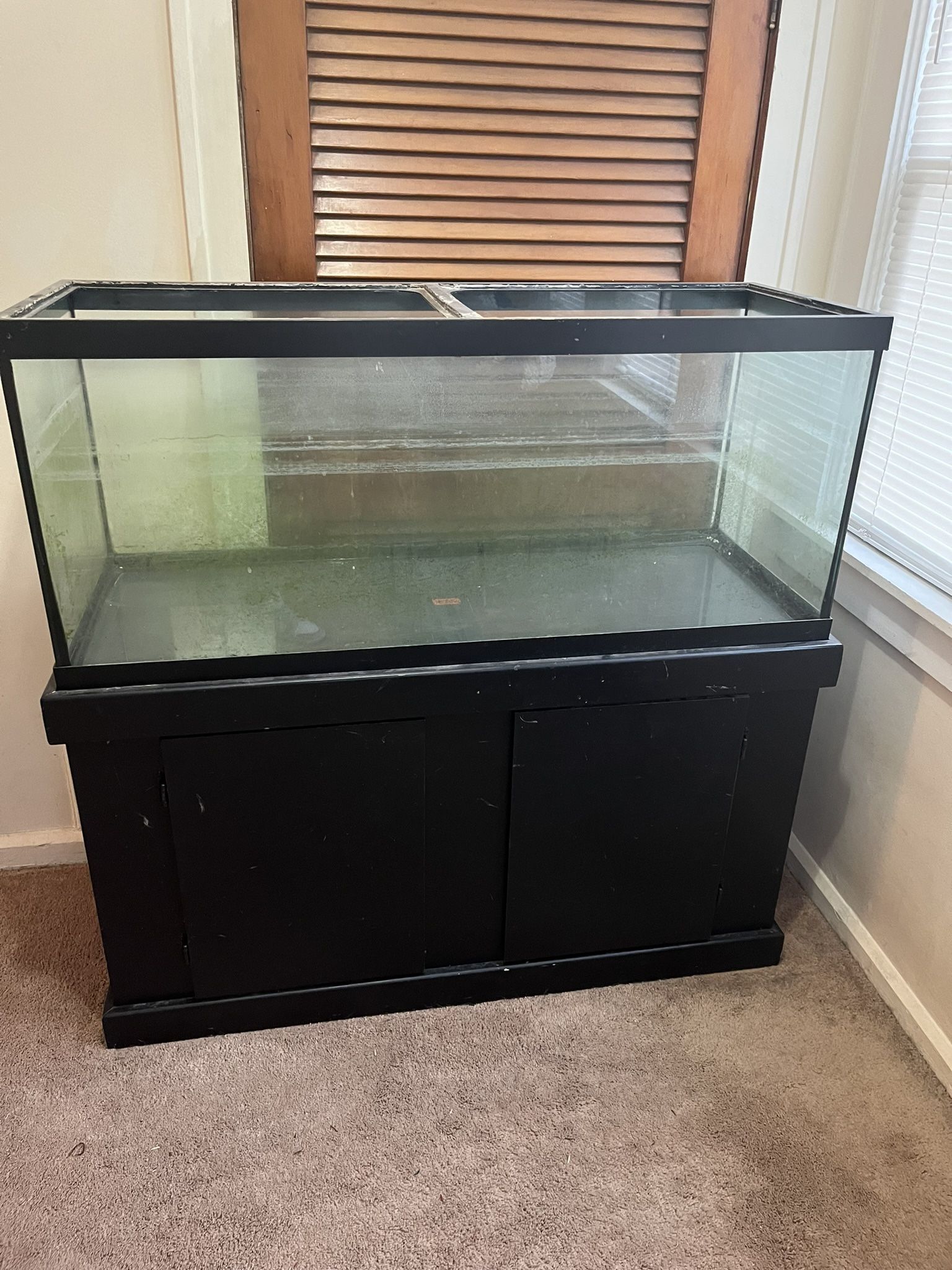 75 Gallon Fish Tank