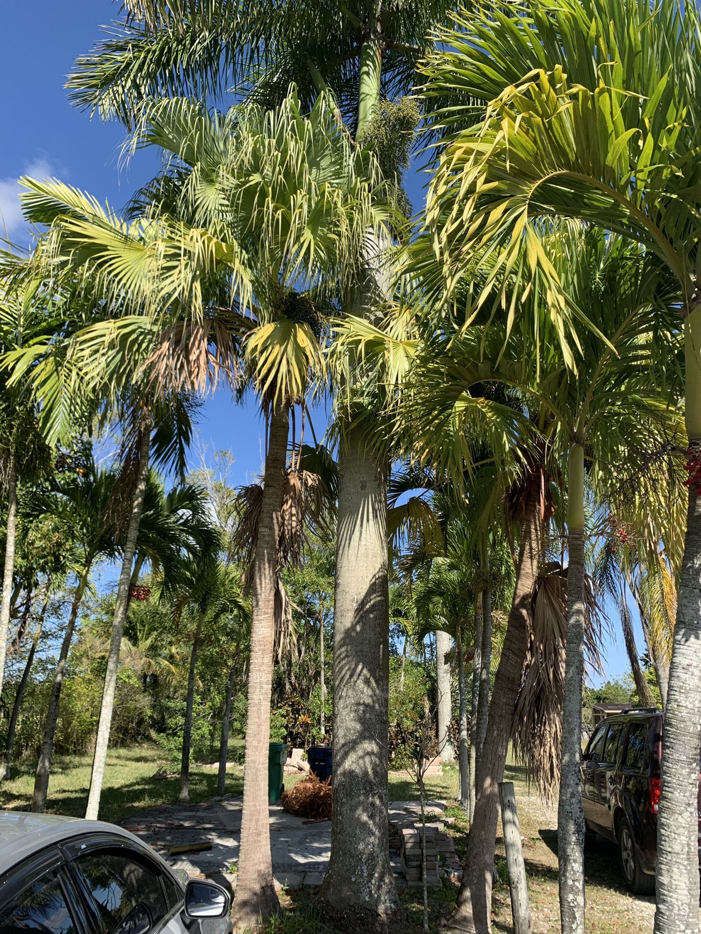 Royal Palms for sale or trade for Sale in Homestead, FL OfferUp