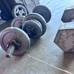 Weights 