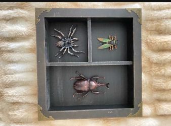 Spirit Halloween decor