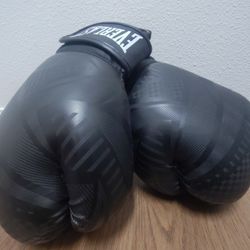 Everlast  Boxing Gloves 