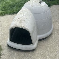 Large pet Igloo