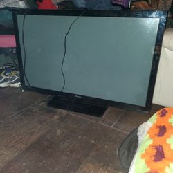 50 Inch Panasonic  Plasma Tv