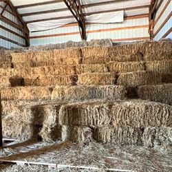 Best Deal On Premium Grass Hay 