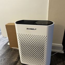 EcoSelf Air Purifier And Replacement Filter 