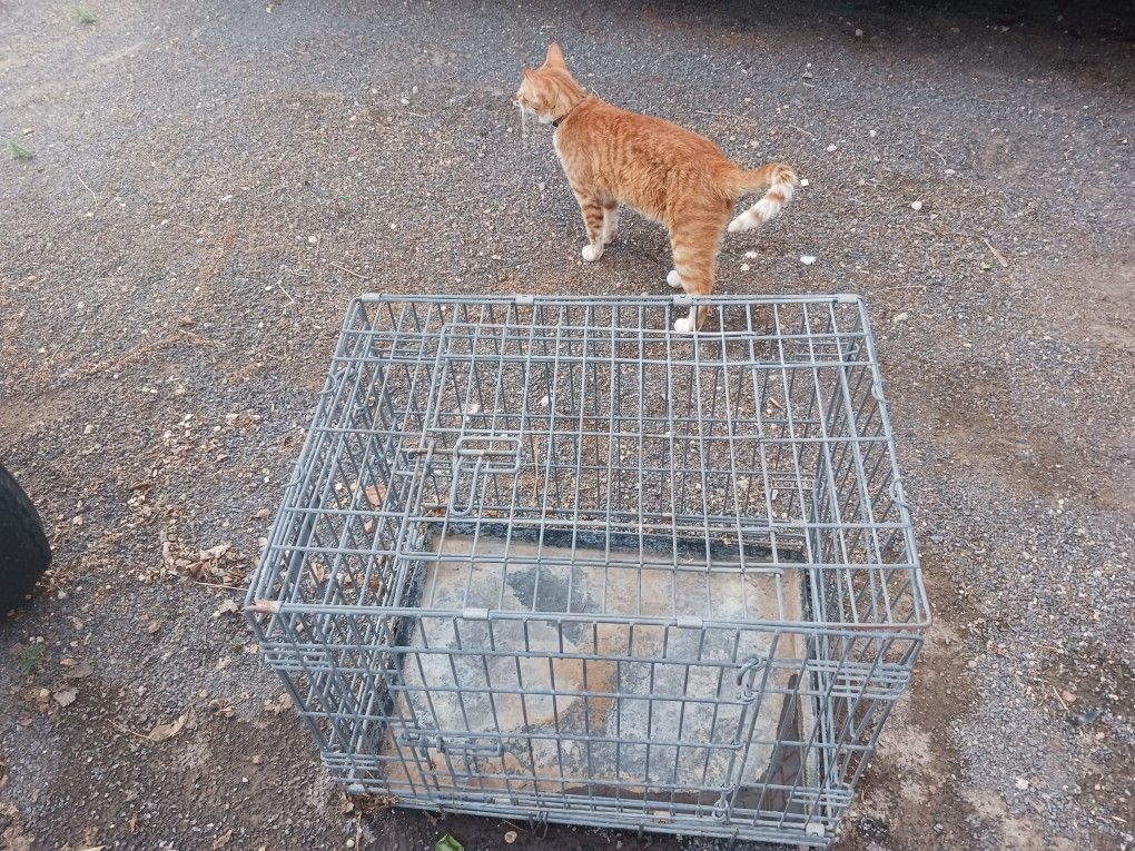 Animal Crate/ Cage