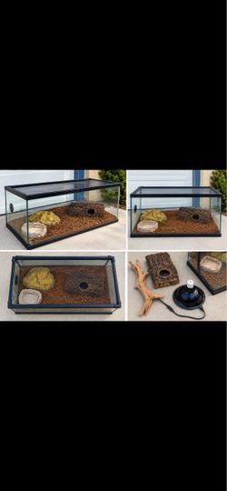 Reptile Terrarium Tank with Accessories