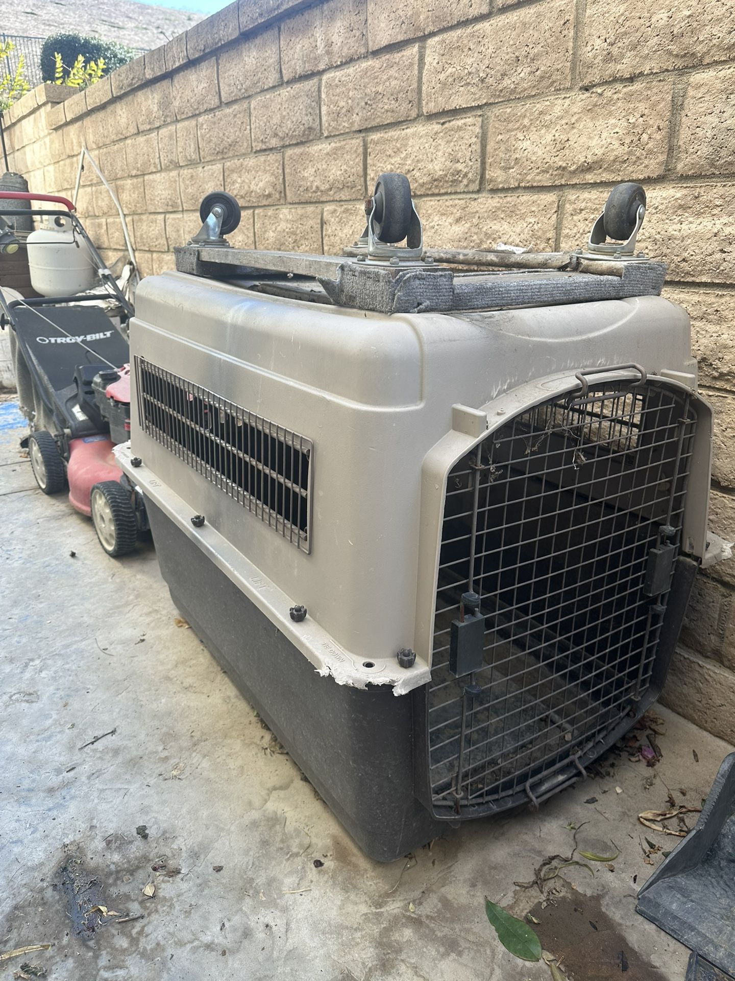 Large Dog 🐕 Crate