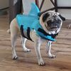 OceanPug