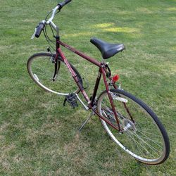 Trek Bicycle, Bike, 23-in Frame, See Pictures