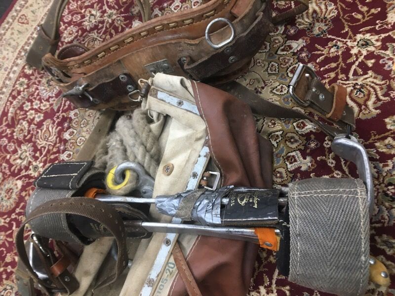 Tree climbing belt climbing spikes Seymour pawn shop