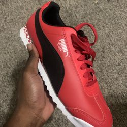 Red Puma